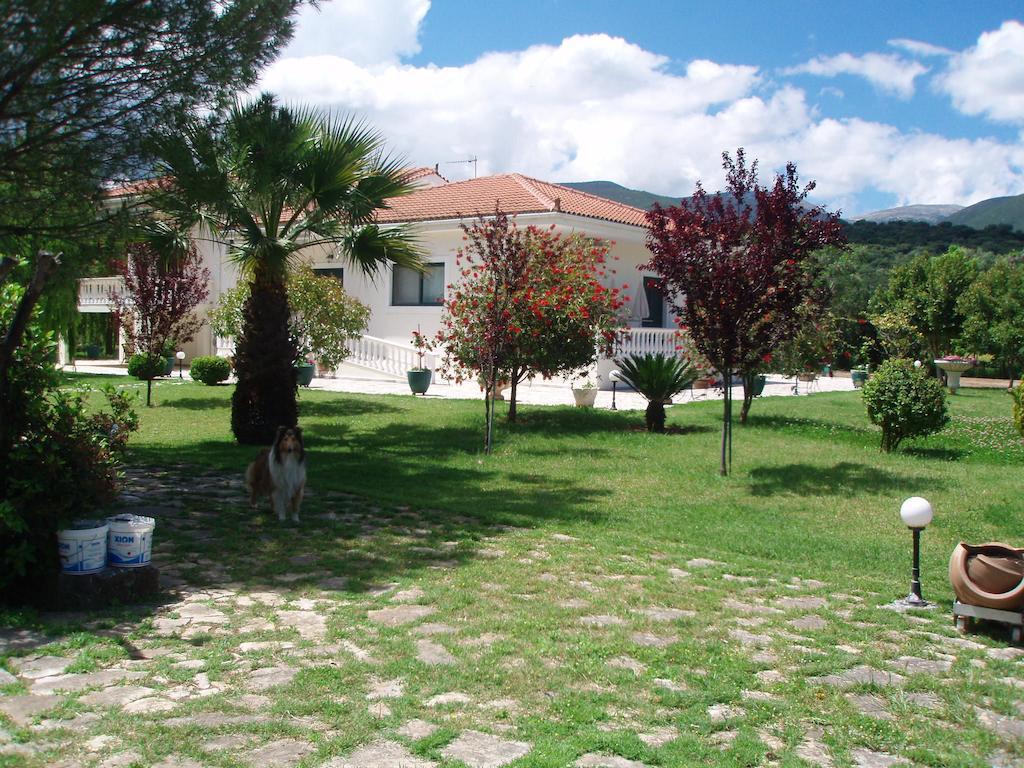 סאמי Finikes Studios Kefalonia מראה חיצוני תמונה