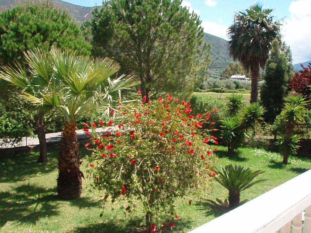 סאמי Finikes Studios Kefalonia מראה חיצוני תמונה