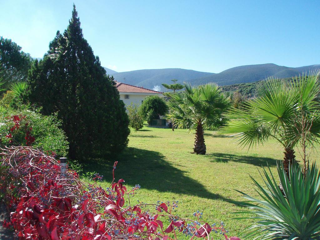 סאמי Finikes Studios Kefalonia מראה חיצוני תמונה