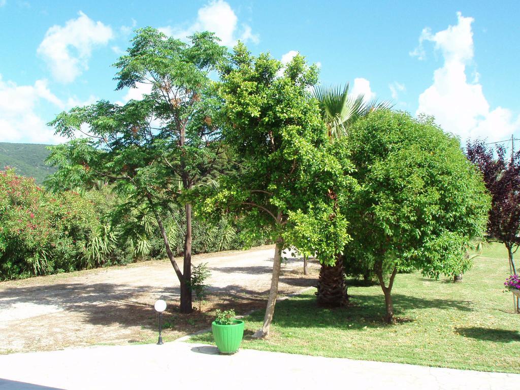 סאמי Finikes Studios Kefalonia מראה חיצוני תמונה