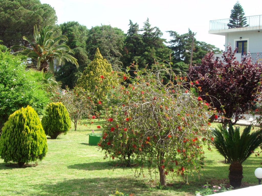 סאמי Finikes Studios Kefalonia מראה חיצוני תמונה