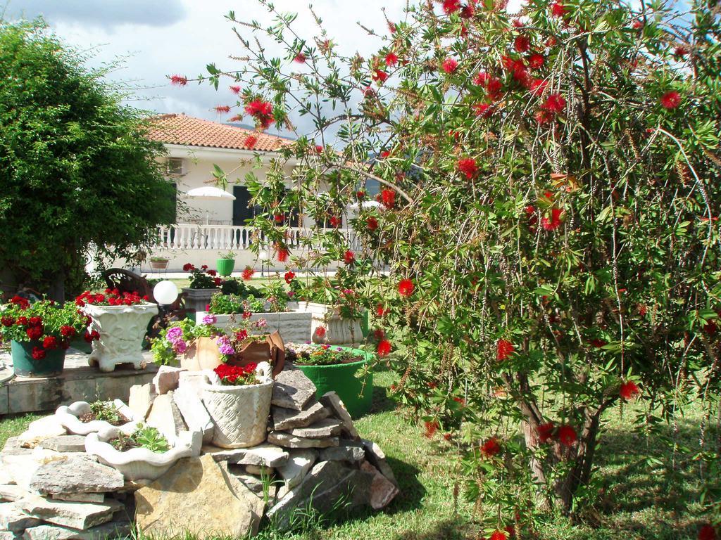 סאמי Finikes Studios Kefalonia מראה חיצוני תמונה