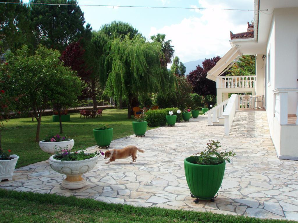 סאמי Finikes Studios Kefalonia מראה חיצוני תמונה