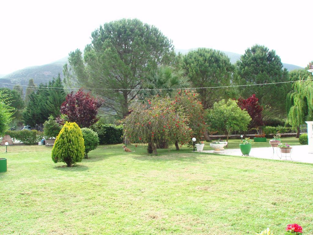 סאמי Finikes Studios Kefalonia מראה חיצוני תמונה
