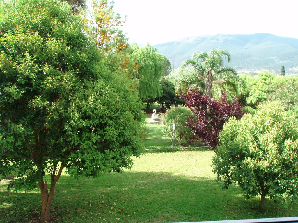 סאמי Finikes Studios Kefalonia מראה חיצוני תמונה