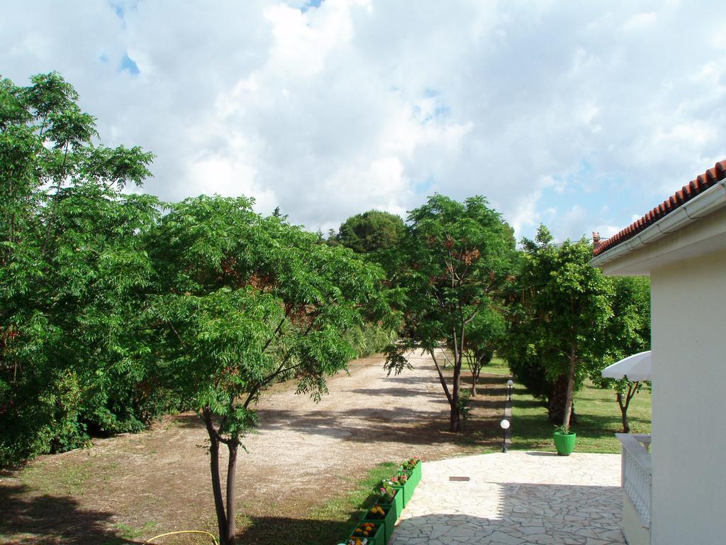 סאמי Finikes Studios Kefalonia מראה חיצוני תמונה